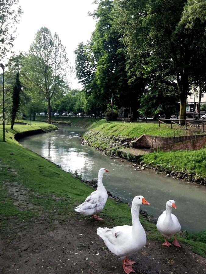 La Petite Maison Daire Treviso Dış mekan fotoğraf