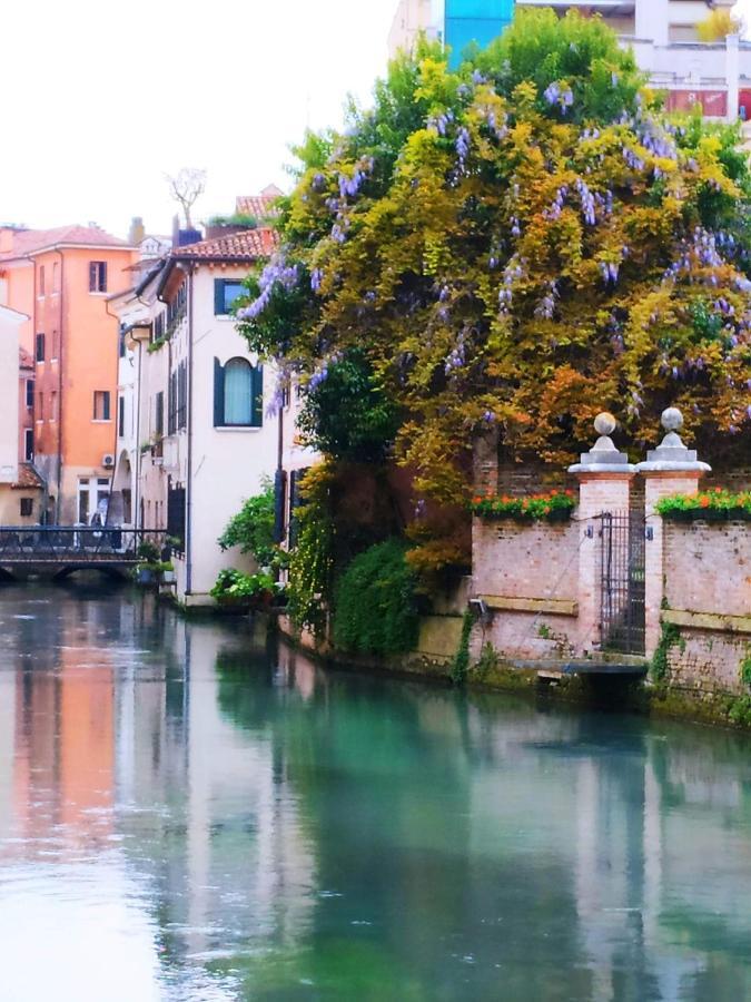 La Petite Maison Daire Treviso Dış mekan fotoğraf