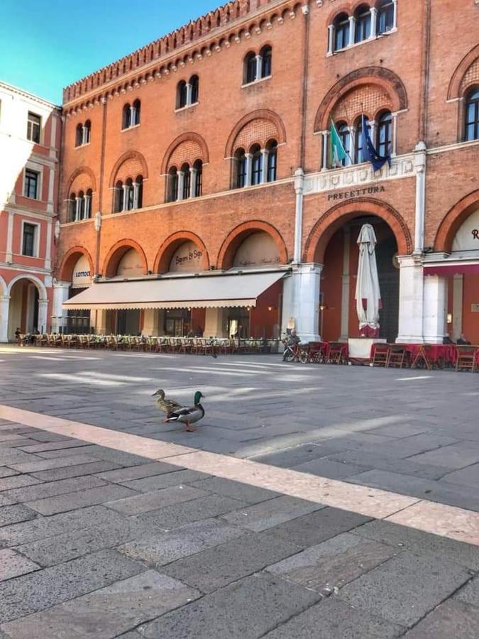 La Petite Maison Daire Treviso Dış mekan fotoğraf